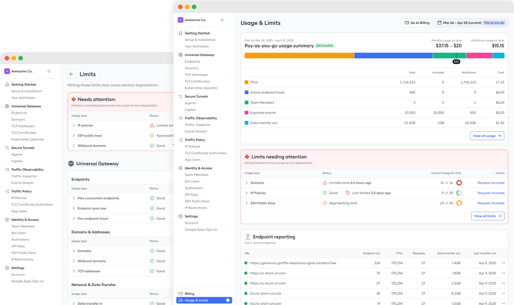 The Usage & Limits overview and Limits detail screens in the ngrok dashboard